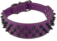 Dogs Kingdom Spiked Studded Dog Collar - Size: L, colour: purple