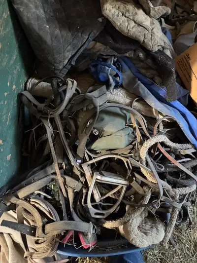free box of horse things , View more