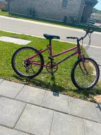 kids bike 20”  for only $50