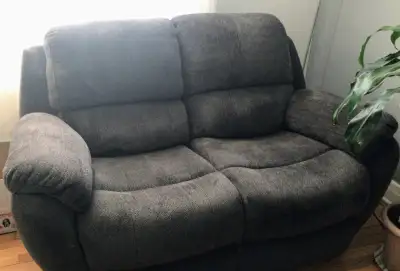 Je vends cette causeuse (sofa 2 places) par manque de place. Les sièges moelleux sont inclinables él...