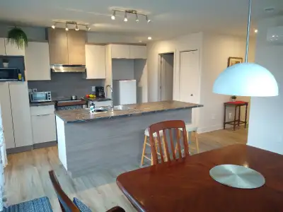 UN (1) MOIS GRATUIT ! Condo locatif (3 1/2) de 2 ans à louer. L'ÉPIPHANIE. Cessation de bail jusqu'a...