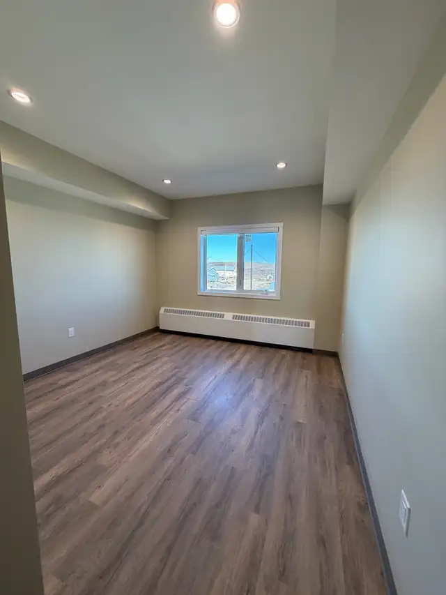 Painter needed524412526443243522