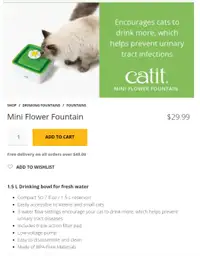 Catit water fountain and cat toy