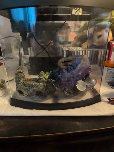 fish tank 2 half gallon, View more