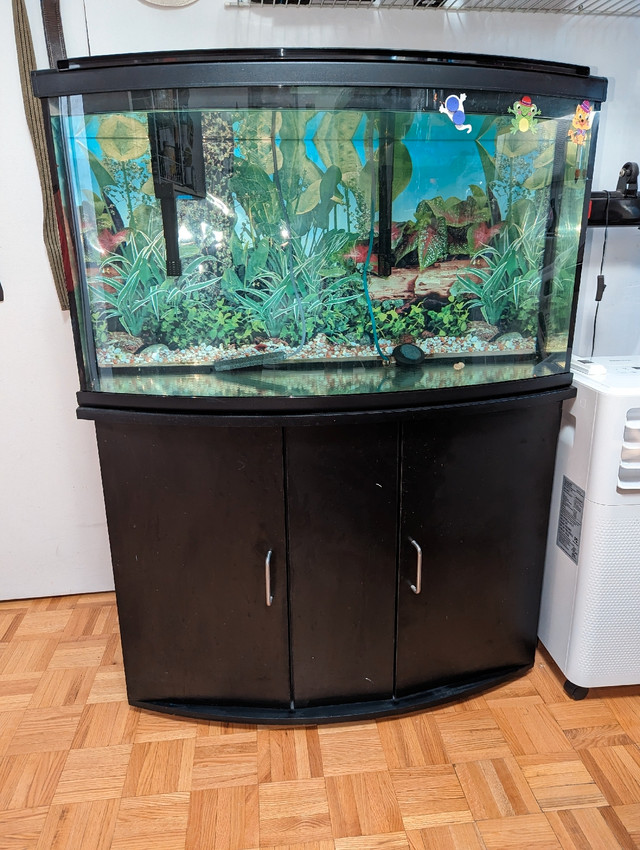Aquarium + meuble/furniture - 48 gallons  dans Accessoires  à Ville de Montréal - Image 2