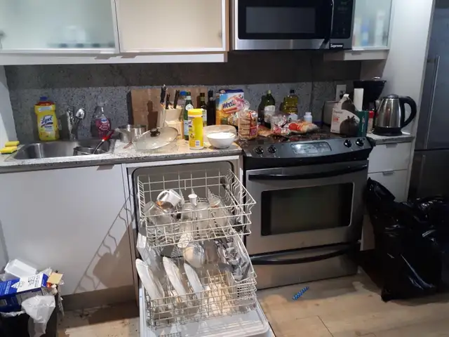 Cleaning Services580120501520977921