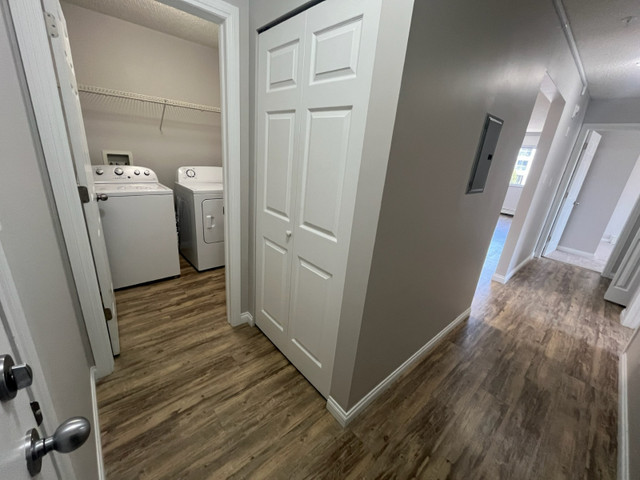 SHERWOOD PARK 2ndflr-2bd1bath with laundry in suite in Long Term Rentals in Strathcona County