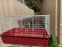 Small bunny / guinea pig cage