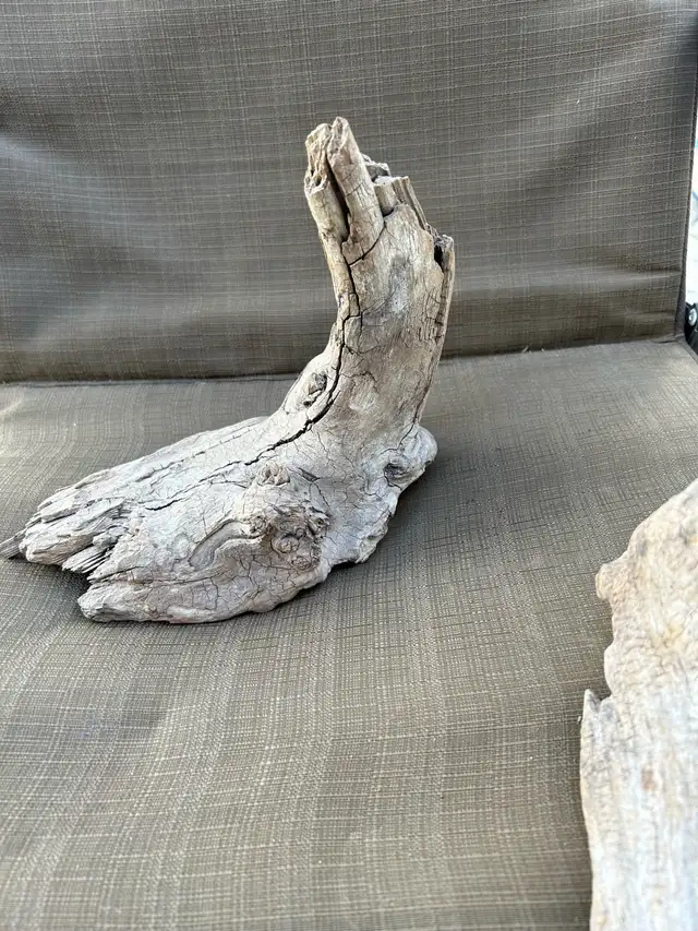 DRIFTWOOD 64519992410883123