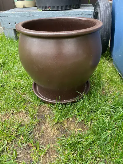 plant pot , View more