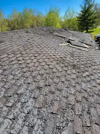 Handyman / roofer / contractor 