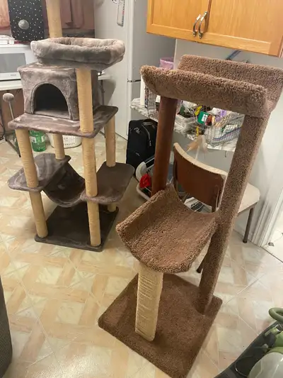 cat trees, View more