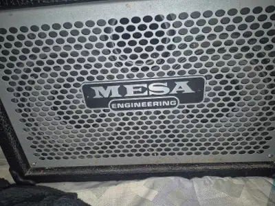 Mesa Engineering 2x10 subs, View more