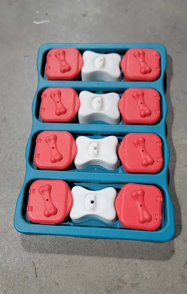 Dog Puzzle by Outward Hound in Other in Kingston - Image 5