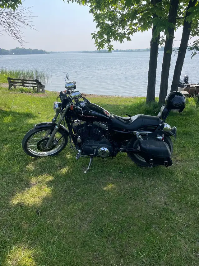 2007 custom sportster 883 in Street, Cruisers & Choppers in Trenton - Image 2