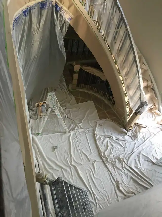 Professional Painter For Professional results561999893539082241