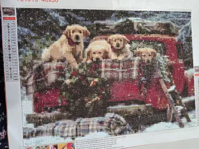 Diamond 'drills' on canvas. Unframed, Measures 40 cm x 30 cm. (price includes cost of canvas plus $1...