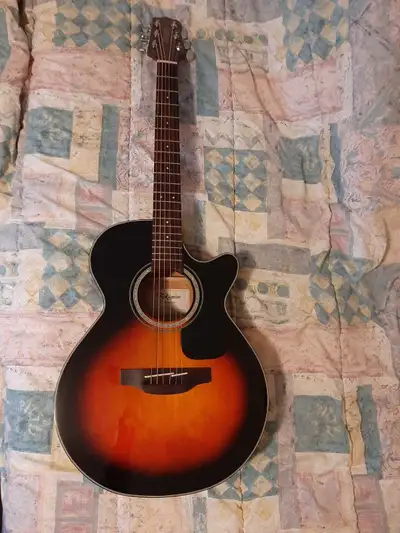 Takamine G series, View more