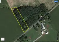Prime Evergreen Plantation Building Land of 3.1 acres