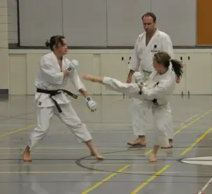 Traditional Karate - Starting Fall 2026461889954320240641