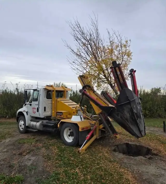 FISHER TREE MOVERS517158938125936643