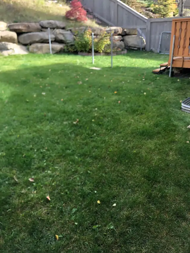 PROFESSIONAL FALL CLEANUP & SNOW REMOVAL 600046539920517122