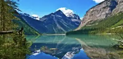 Single mom looking for help, View more