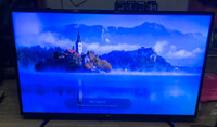 49 inch flat screen TV