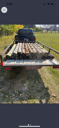Treated Wood posts
