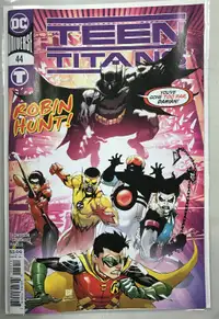 DC Universe Teen Titans #44 Regular CVR. ROBIN HUNT MAIOLO VF/NM