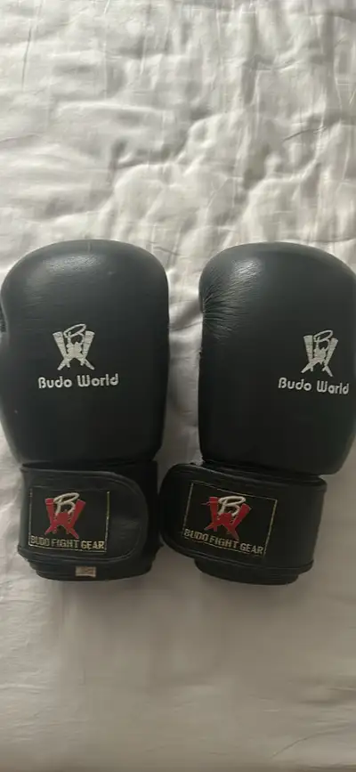 Budo Boxing Gloves, View more
