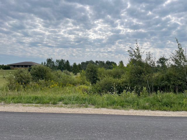 Vacant Land for sale near Dundalk  in Land for Sale in Owen Sound - Image 4