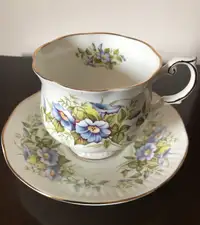 Vintage Queens Rosina Wildflowers Teacup and Saucer 