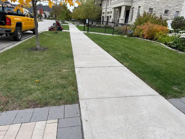  FALL YARD CLEANUP SERVICES 594162952879493123