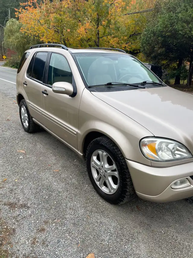 2003 Mercedes Benz M-Class in Cars & Trucks in Hope / Kent - Image 11