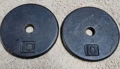 two 10 pound plate weights, View more