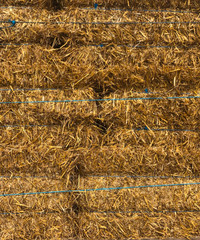 2023 Straw in Small Square Bales! FREE DELIVERY!