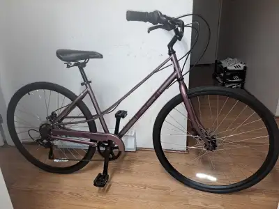 Mint 2024 Raleigh Sundance Disc lo-step hybrid commuter bike 18", View more