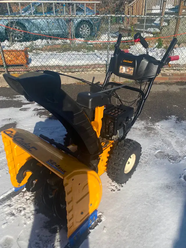 Wanted Dead or Alive (Working or Not) Snowblowers | Snowblowers | City ...