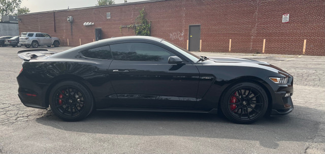 2019 Shelby Mustang GT350 Recaro Track Package No accidents Rare dans Autos et camions  à Ville de Montréal - Image 4
