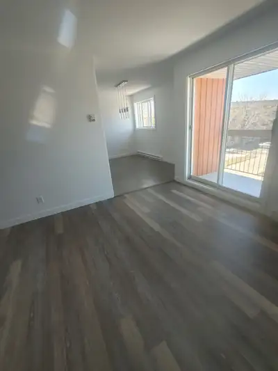 4 1/2 Rénové, près du carrefour charlesbourg et des services, peint, plancher de vinyle, remise dans...