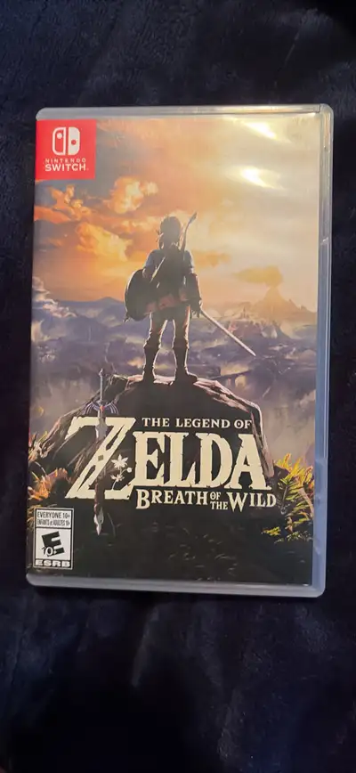 Zelda Breath of the Wild, View more