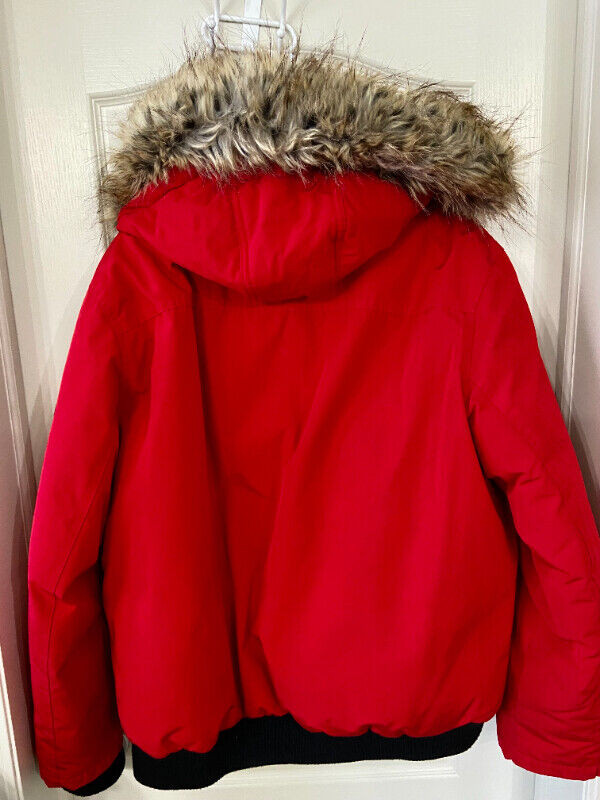 Alpinetek men's jackets cheap