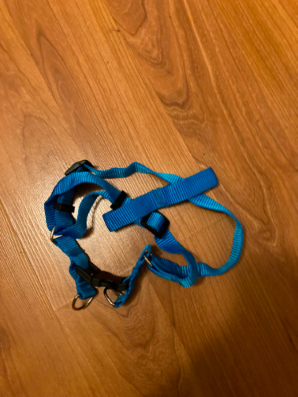 3 dog harnesses in Accessories in Edmonton - Image 4