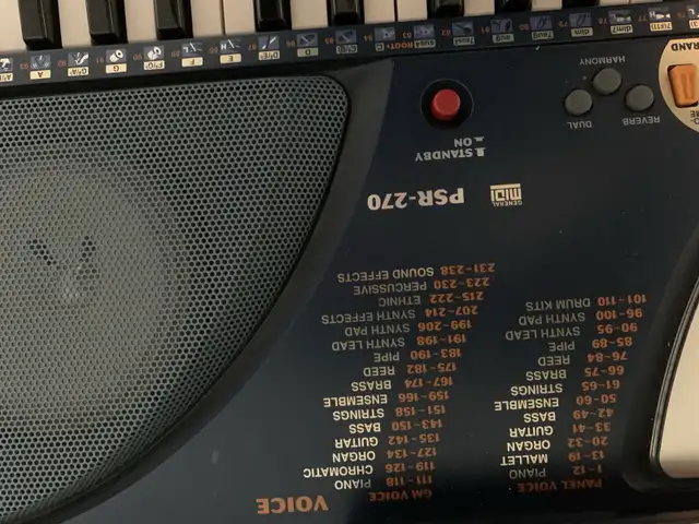 Electric keyboard 450666127310858242