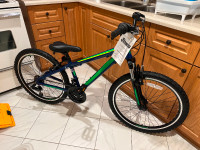 Scout 24 Kids Bike up to 14 years of age $400