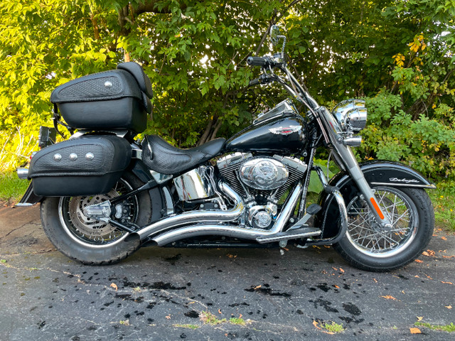 Harley Davidson Softail Deluxe 2007 Lady Driven Bobber/Touring in Street, Cruisers & Choppers in Moncton - Image 2