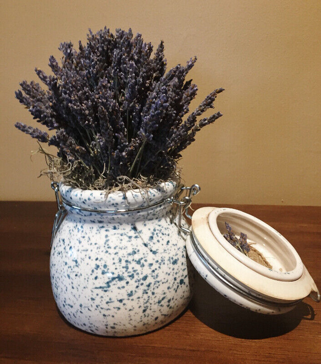 Dried French Lavender in Clamp Top Lid Jar in Home Décor & Accents in Kitchener / Waterloo - Image 2