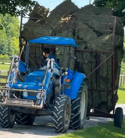 look for helper to stack hay, View more