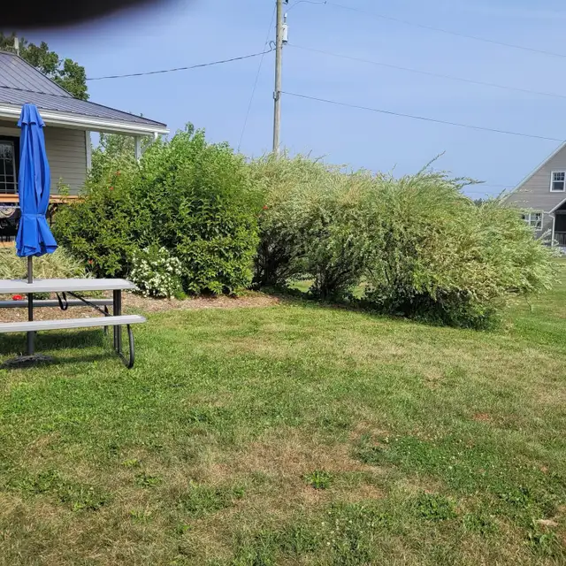 Landscaping&Spring cleanups in Lawn, Tree Maintenance & Eavestrough in Charlottetown - Image 7